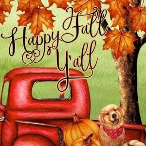 Meet your Posher, Billie jo